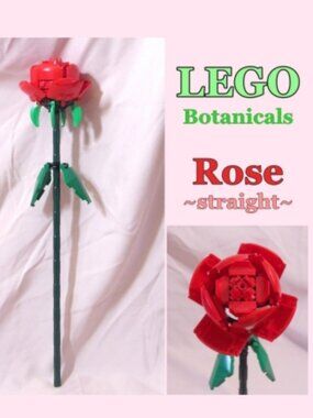 LEGO Botanical Flowers 1 pcs Rose Red Straight Individual Sale 40460 + Free Gift